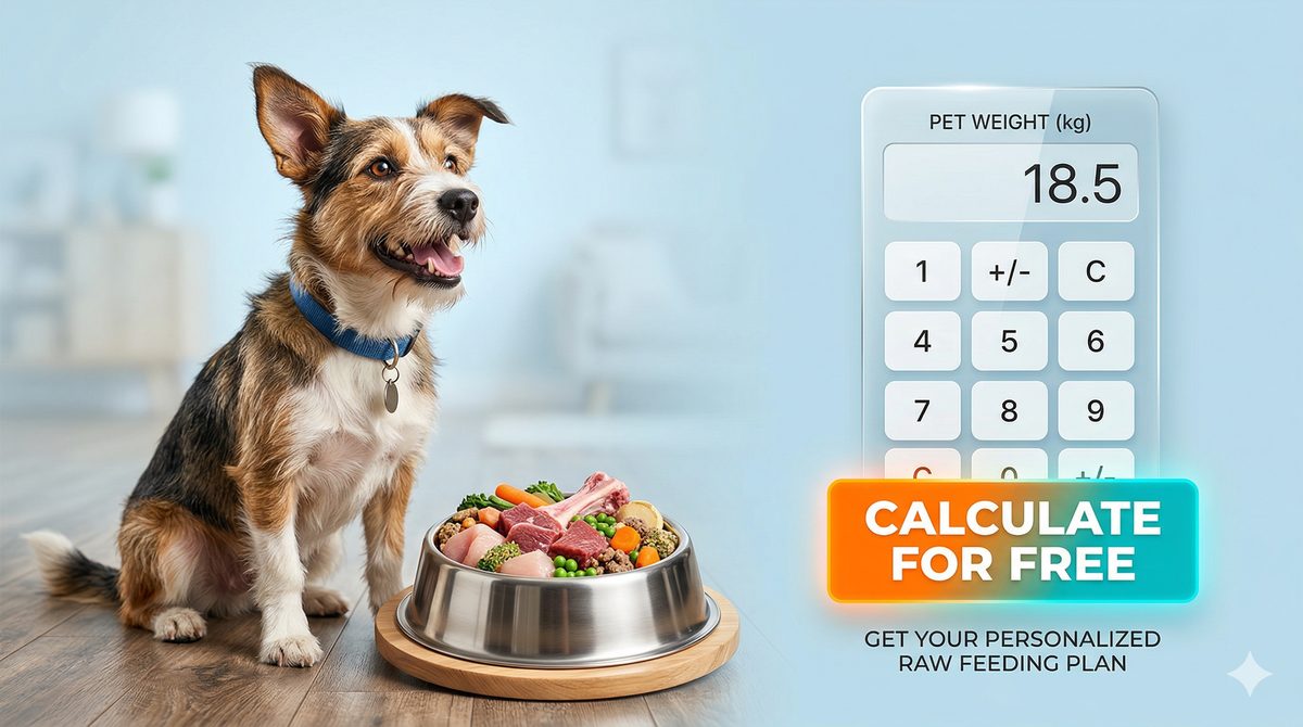 Free Pet Raw Diet Calculator – get your personalized raw feeding plan