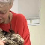 Cat Survives Wildfires