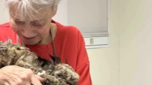 Cat Survives Wildfires