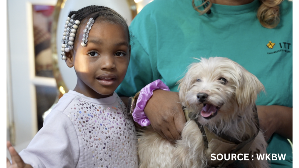 Lost Dog Reunion Microchip