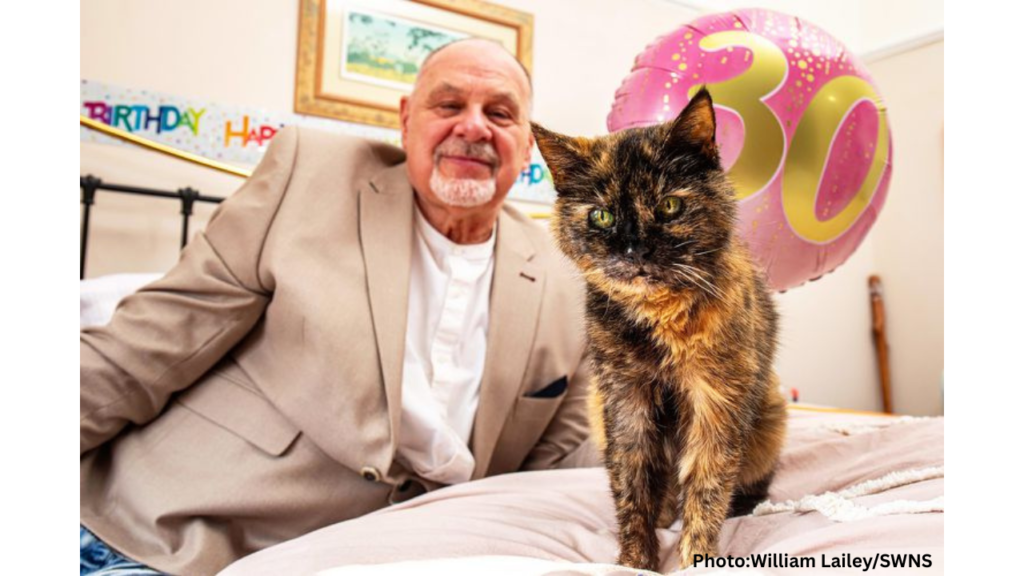 World's Oldest Cat's
