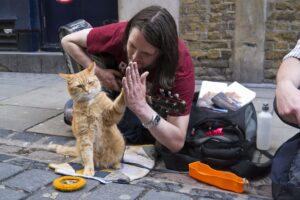 bob the street cat