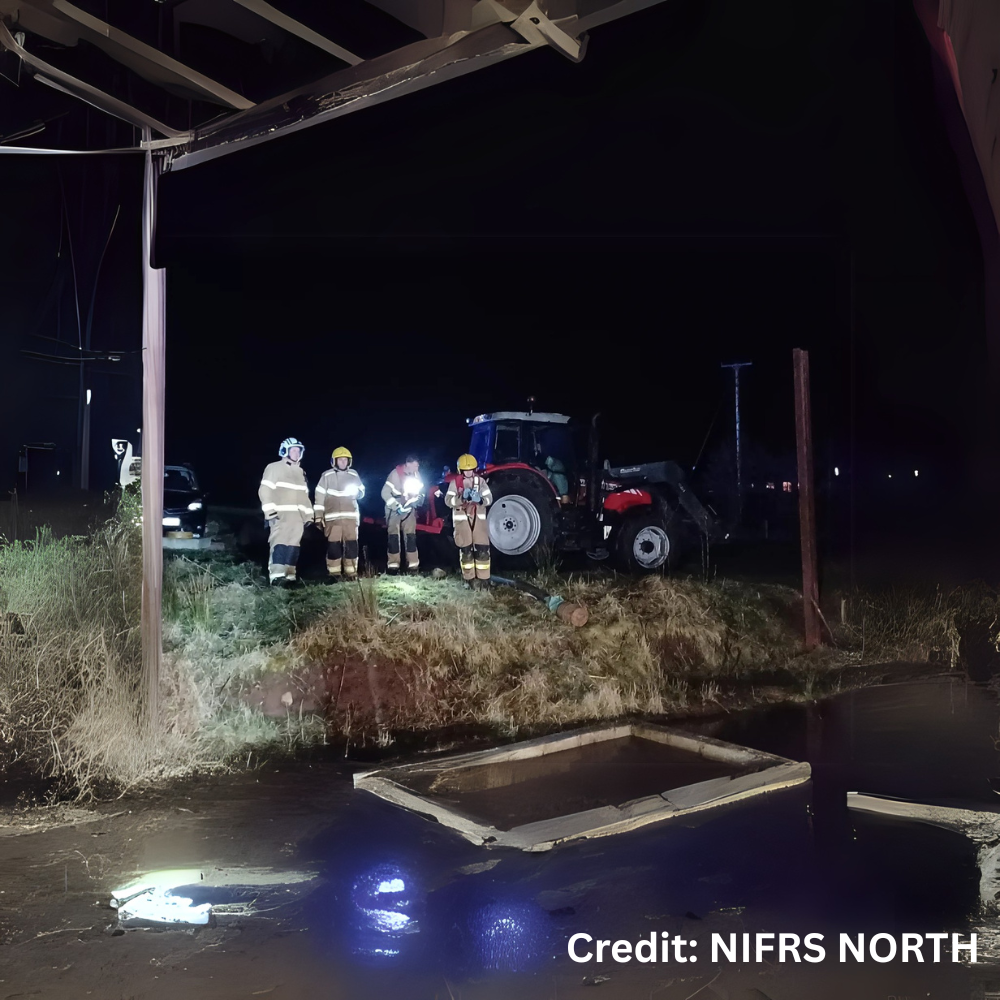 firefighter save horse