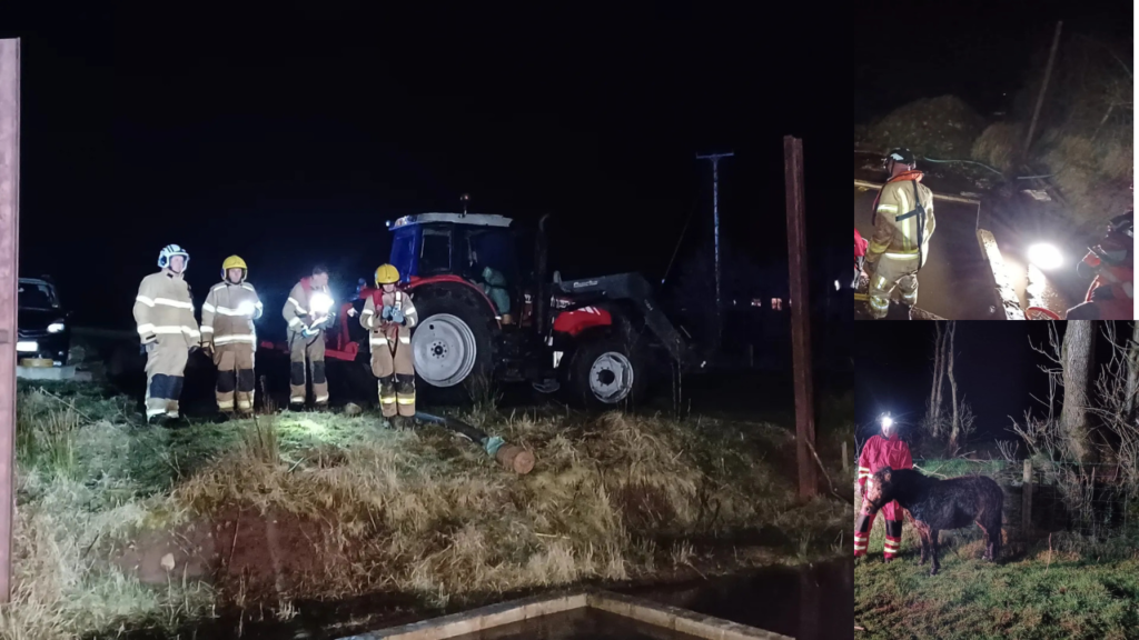 firefighters save horse