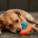 mental stimulation for pets