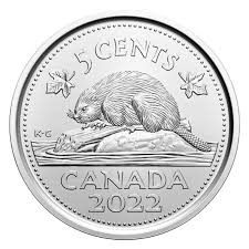 International Beaver Day