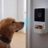 Anxious dog by door being monitored through AI pet camera with treat dispenser
